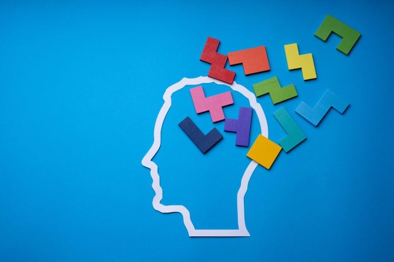 ADHD Brain Blocks Tetris Puzzle Pieces