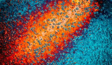 First Signatures of a Future Tectonic Split Are Bubbling Up In Zambia : ScienceAlert
