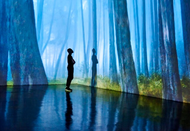 Visiting a Museum a Few Times a Year Could Slow Your Biological Clock