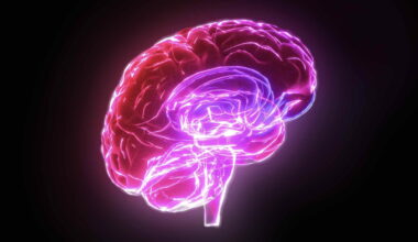 Boltzmann brains