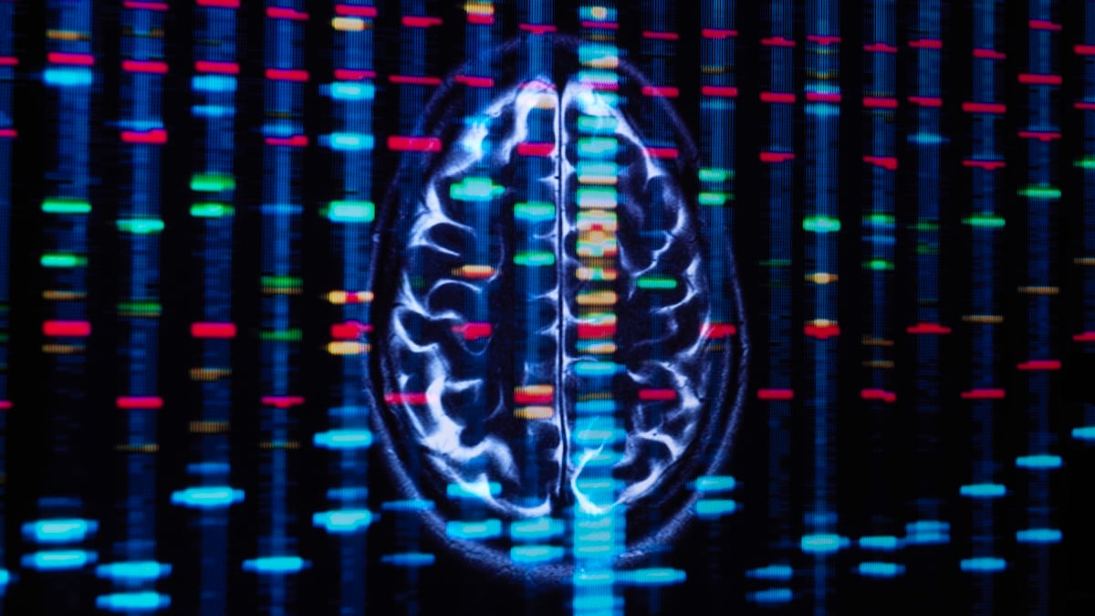 This Gene Is Linked to Lower Alzheimer's Risk – And We May Finally Know Why : ScienceAlert