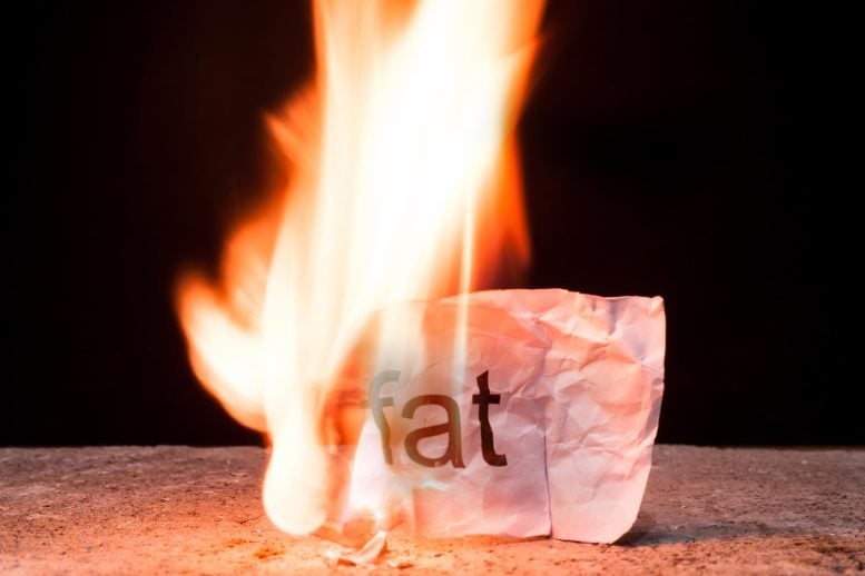 Burning Fat Fire Flame Paper Sign