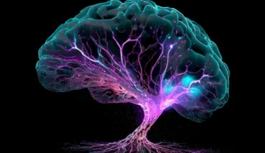 Quantum Consciousness