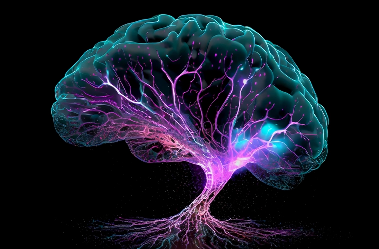 Quantum Consciousness