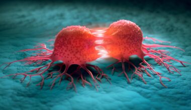Cancer Cells Dividing