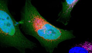 Scientists Discover Over 1,700 'Dark' Proteins Hidden in Human Cells : ScienceAlert