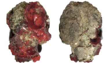 Physicists Discover Previously Unknown Crystal Forged During Manhattan Project's Trinity Test