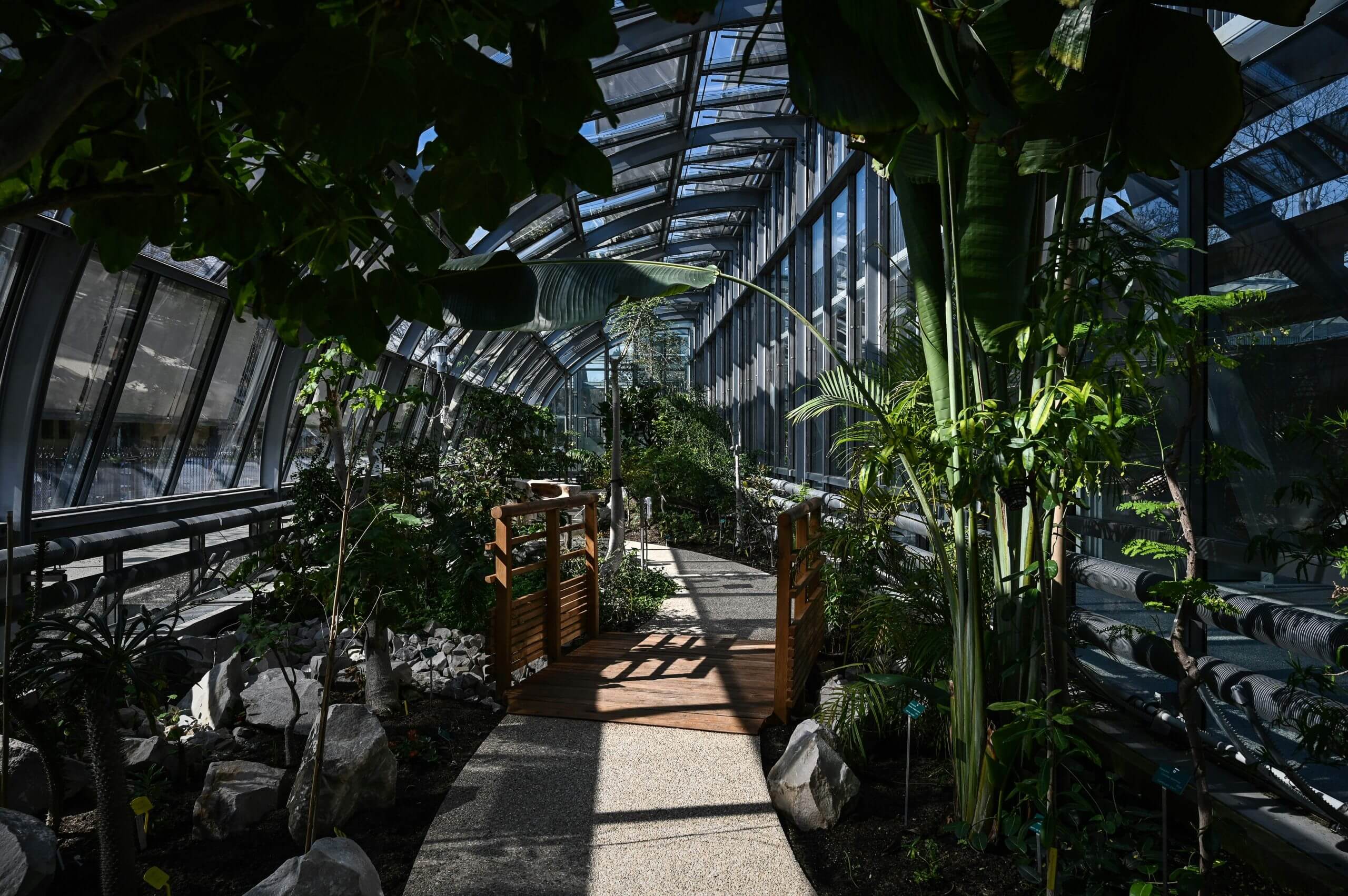 Greenhouse trees peek out through glass under the blue sky above.
