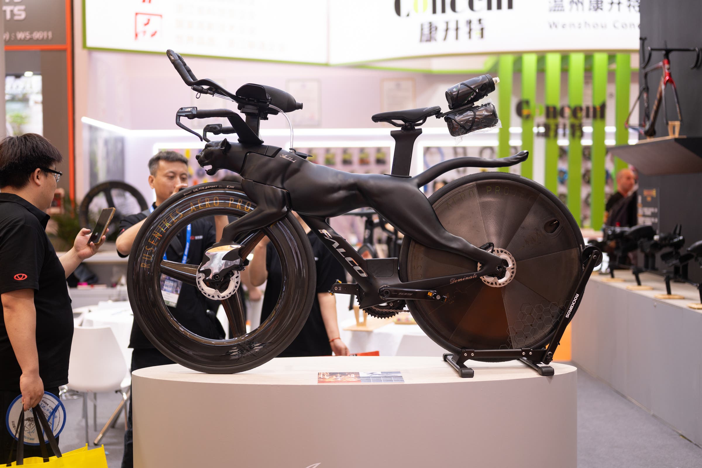 China Cycle cat bike