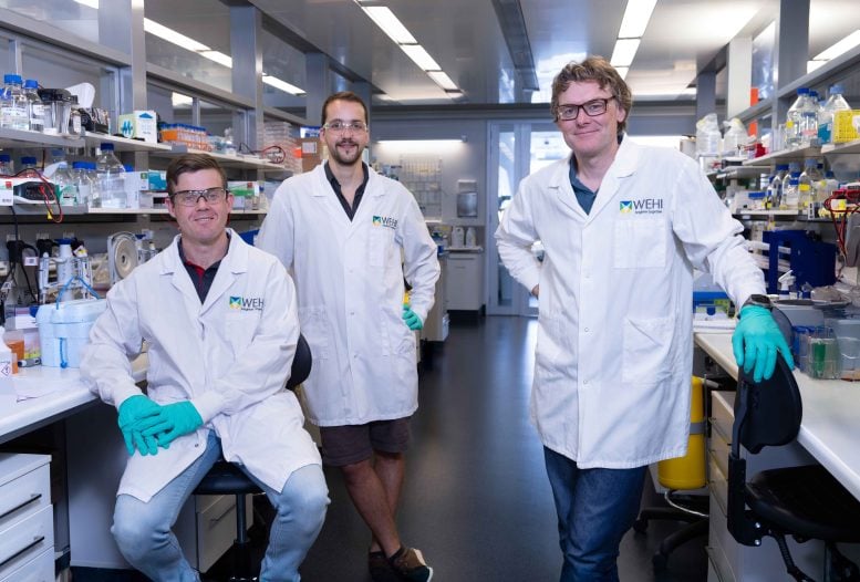 Dr. Simon Cobbold and Marco Jochem and Professor David Komander