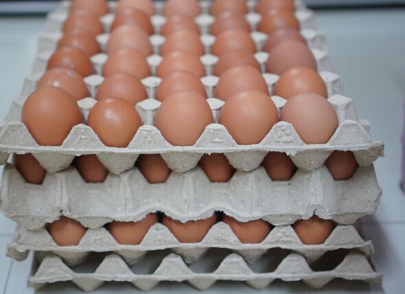 Egg tray