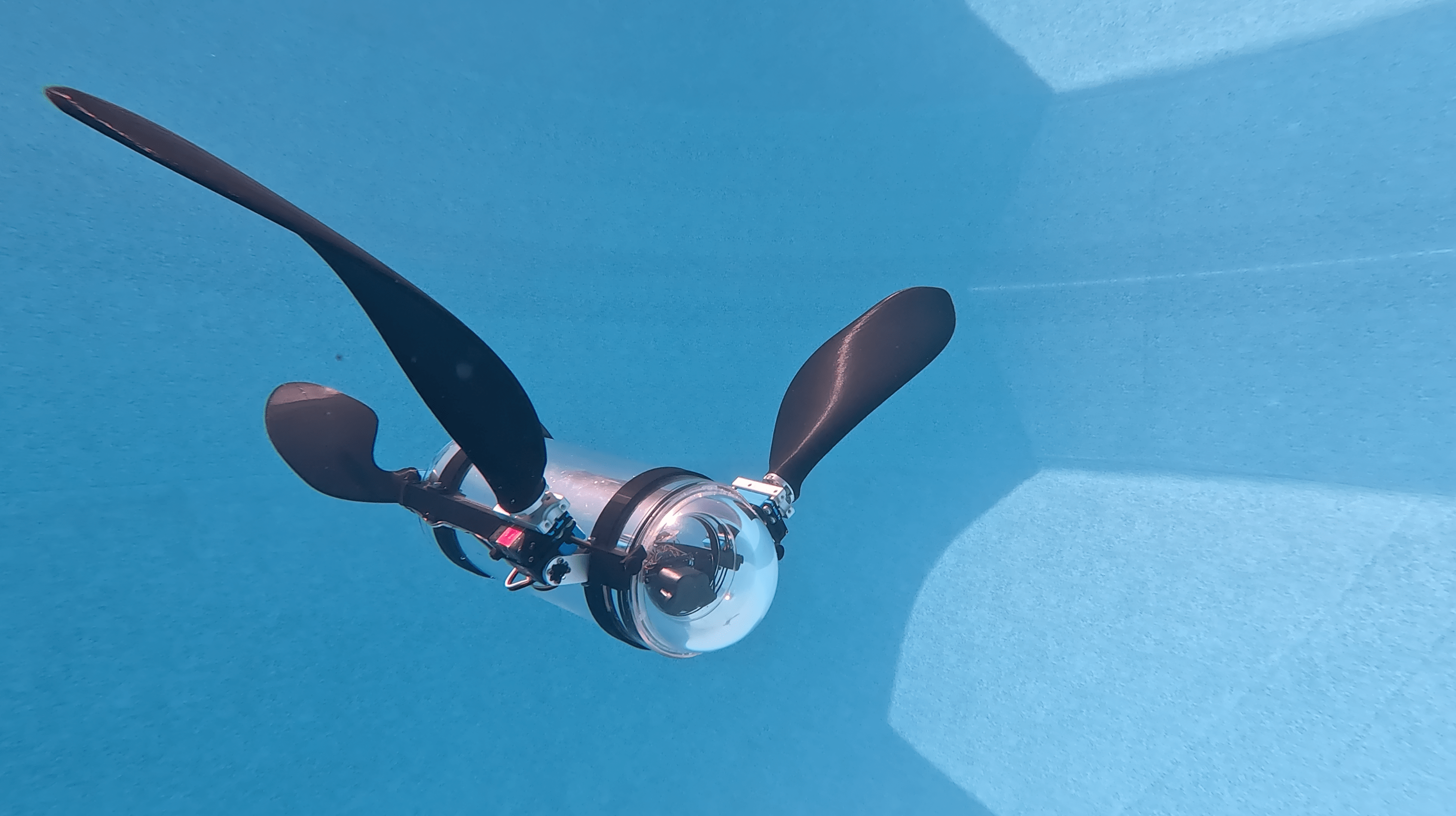 A robot turtle swims in a blue pool.