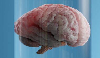 One Type of Fat May Accelerate Brain Aging, But Scientists Say There's a Fix : ScienceAlert