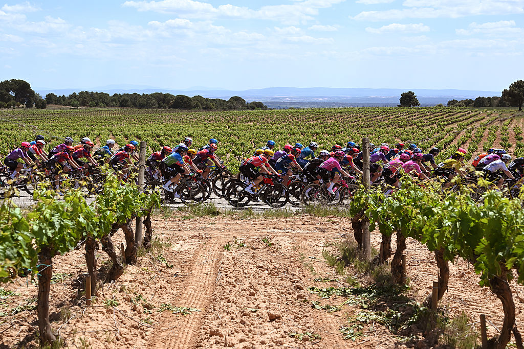 PEDROSA DEL DUERO, SPAIN - MAY 22: A general view of the peloton passing through a vineyards landscape during the 11th Vuelta a Burgos Feminas 2026, Stage 2 a 122km stage Castrojeriz to Bodega Vi&ntilde;a Pedrosa. Pedrosa de Duero / #UCIWWT / on May 22, 2026 in Pedrosa de Duero, Spain. (Photo by Szymon Gruchalski/Getty Images)