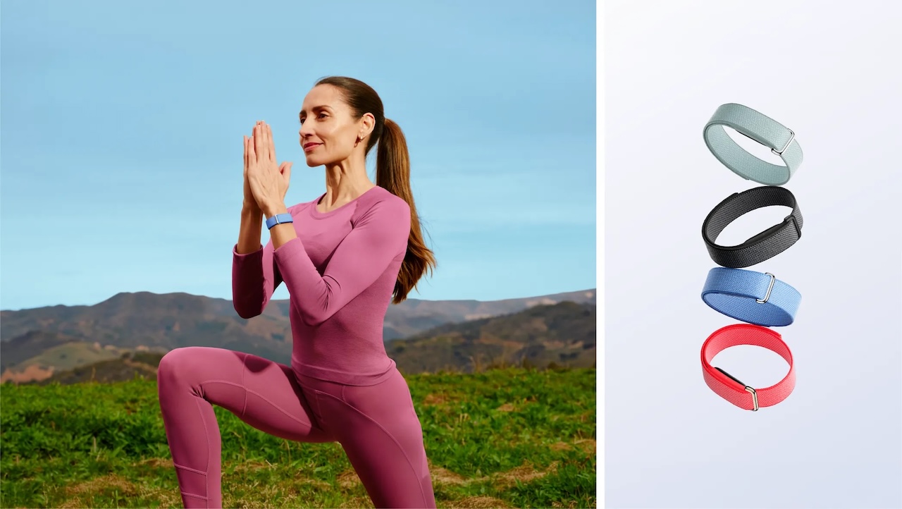 Fitbit Air Features