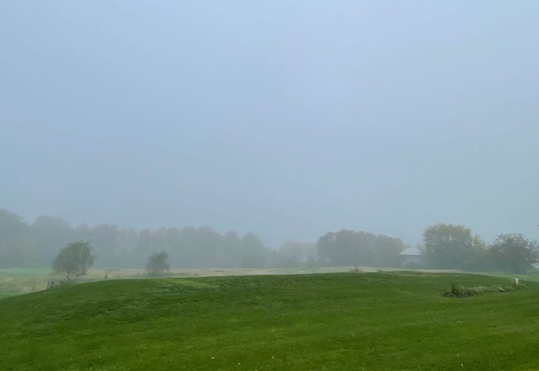 Foggy Field