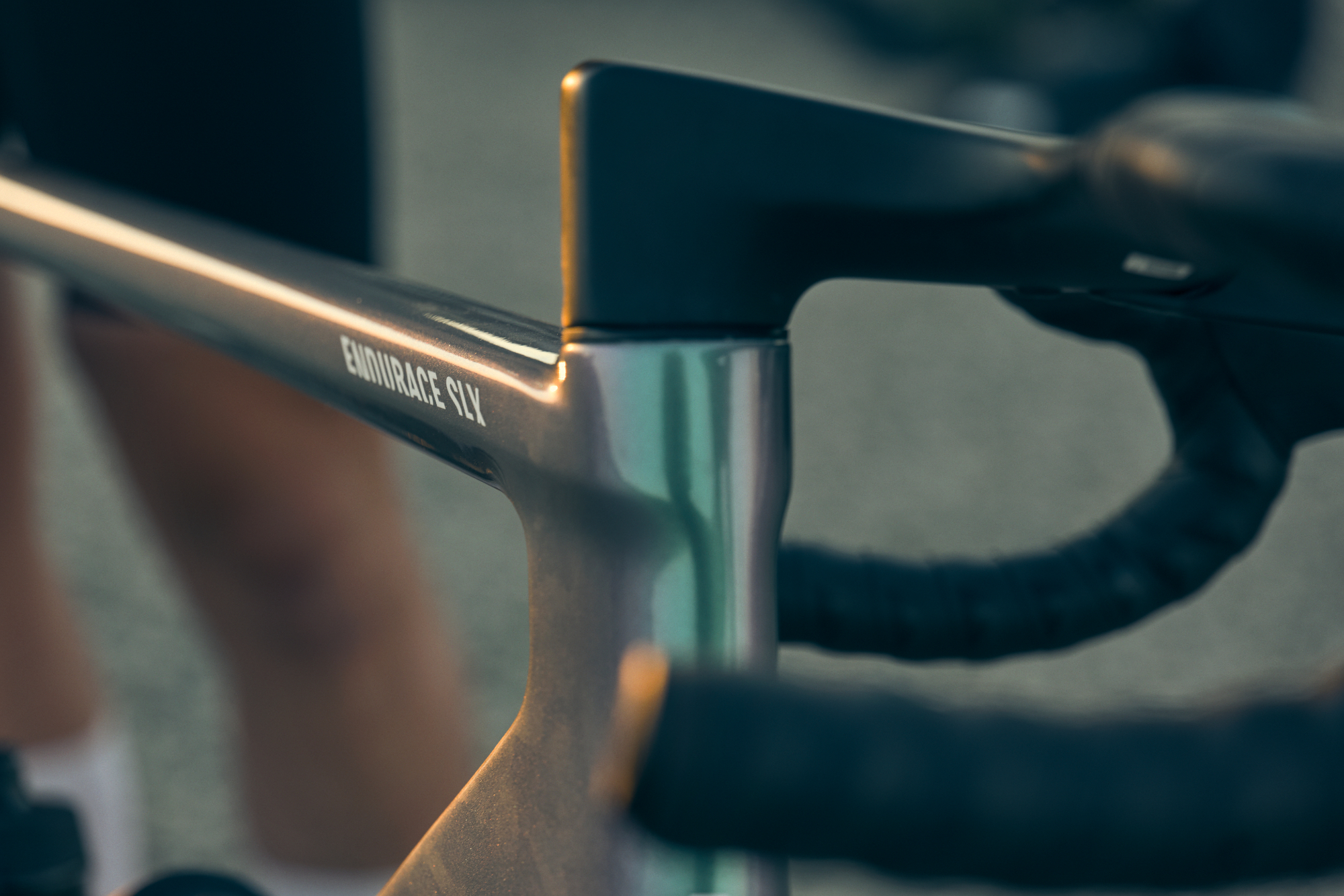 Canyon Endurace SLX CF headtube detail