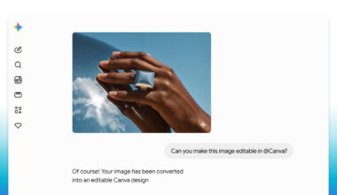 GEMINI canva