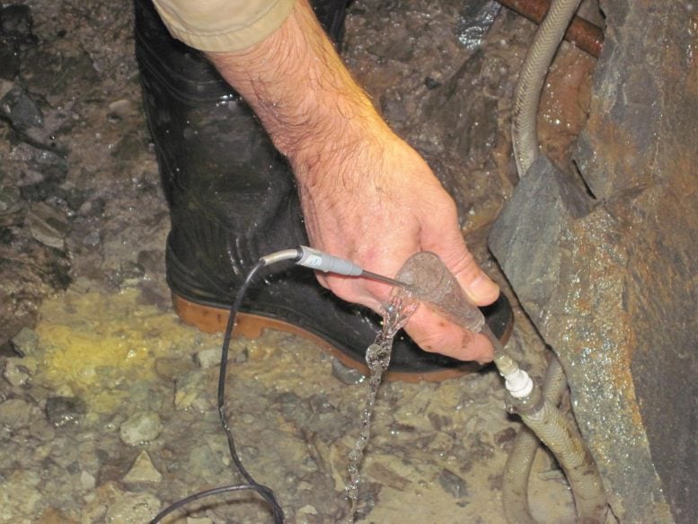 Gas Bubbles Emerging From Groundwater