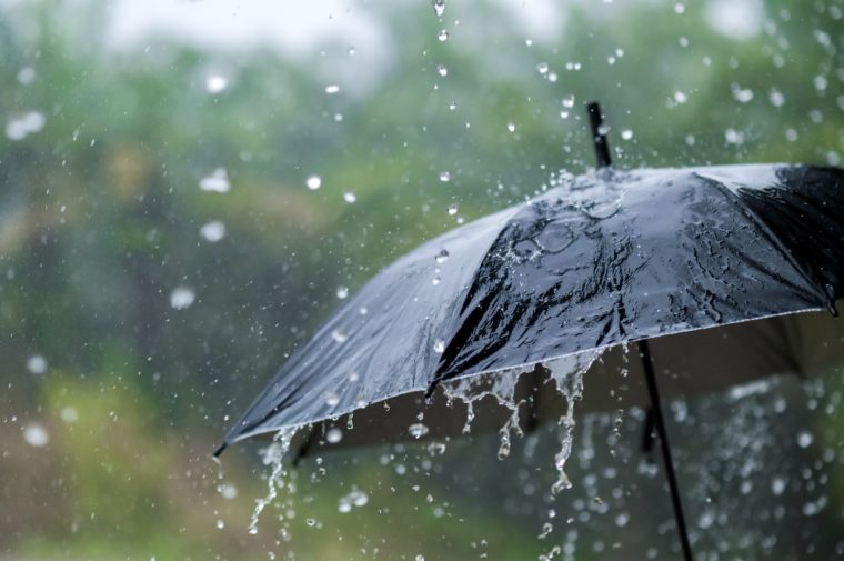 It's raining heavily, wearing an umbrella during the rainy season - stock photo
