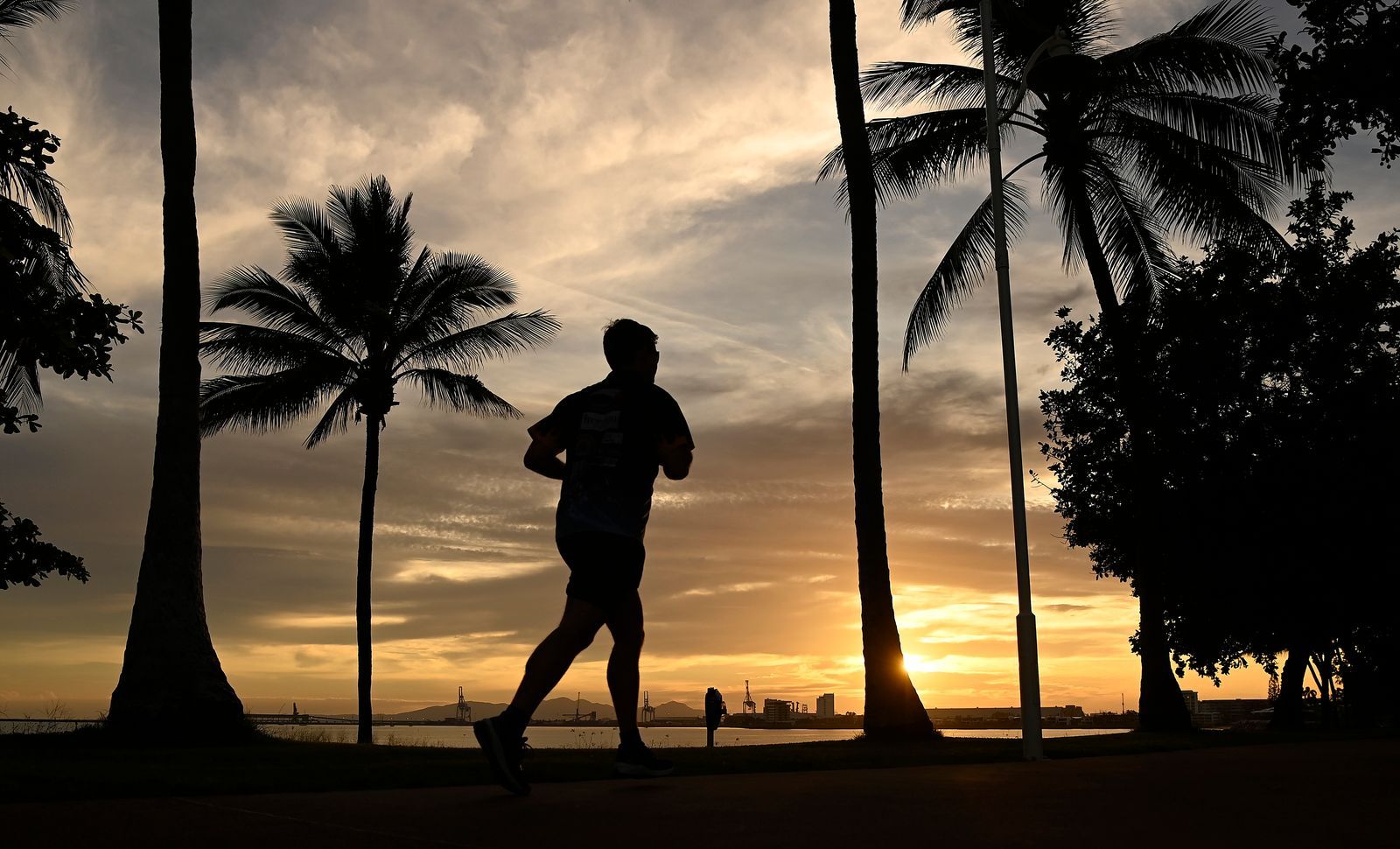 Is It Better to Work Out in the Morning or the Evening