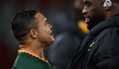 A number of 'top South African players' linked with Stormers