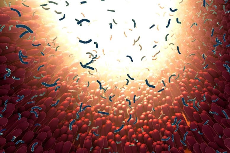 Gut Bacteria Intestinal Microbiome