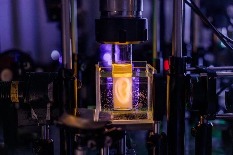 Holographic Projection of a Human Ear Model Sample Vial