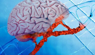 Human Brain DNA Mutation Neuroscience Genetics