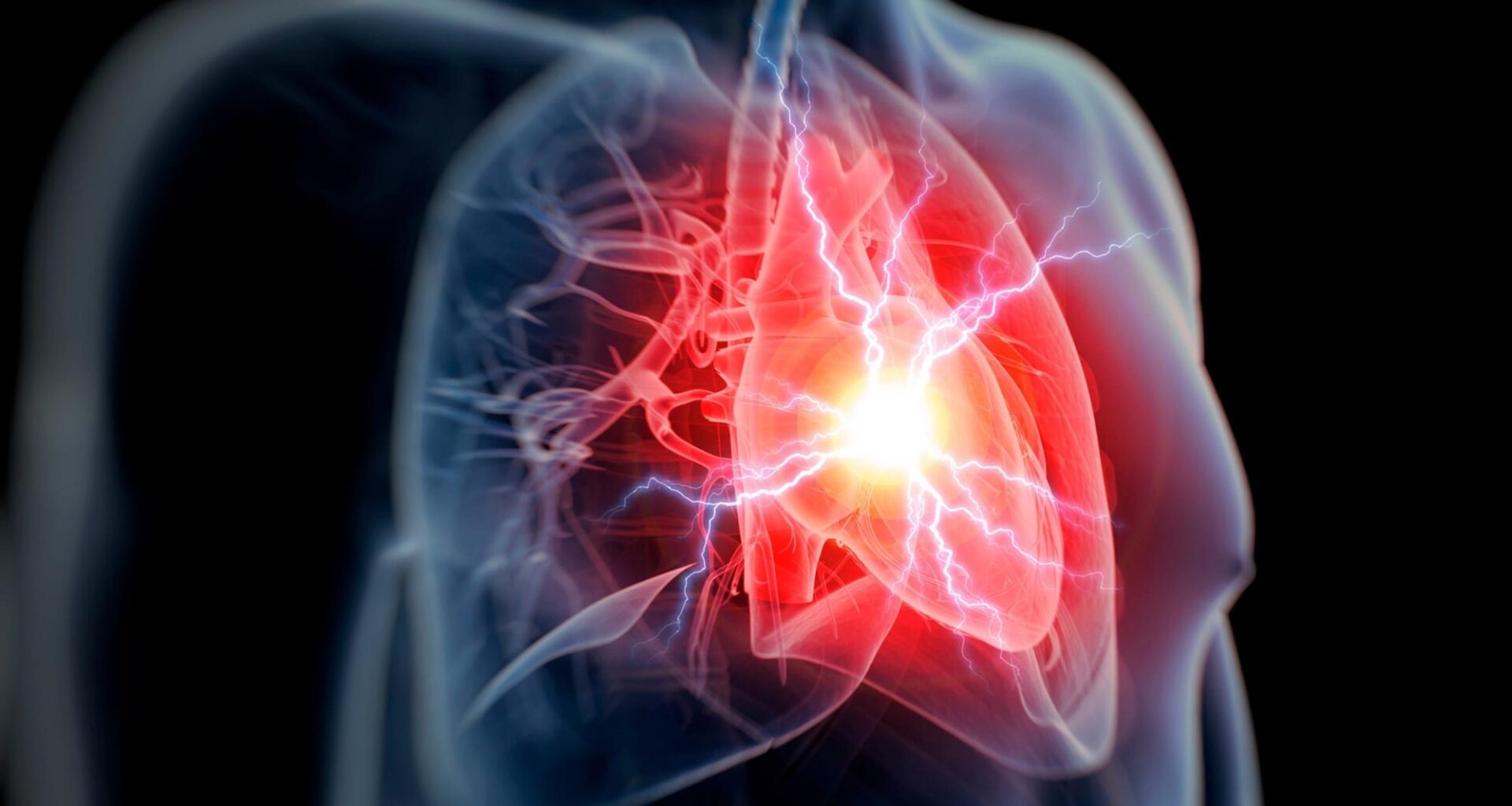Human Heart Attack