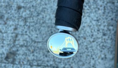 Spurcycle Pro Mirror