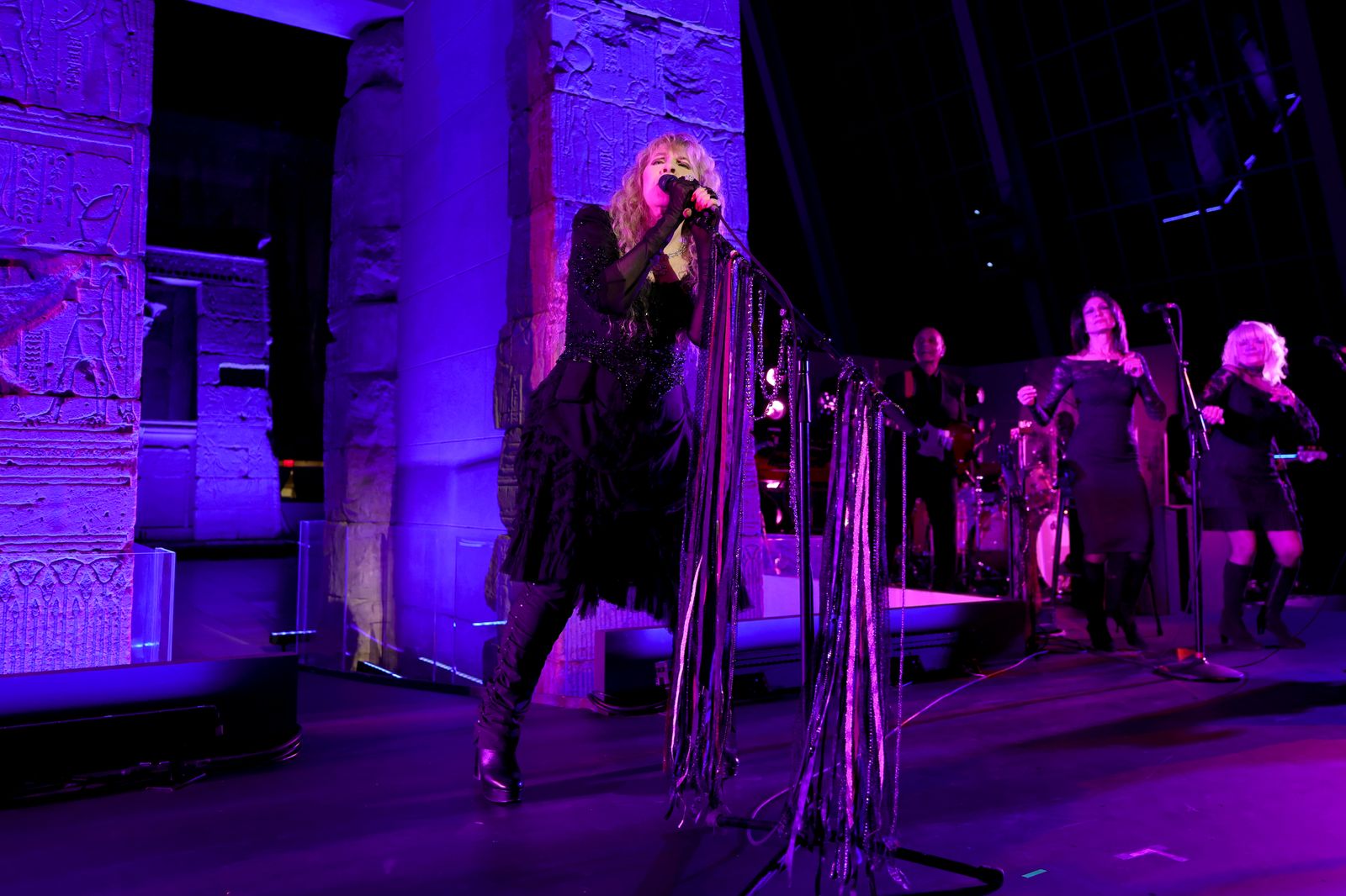 Image may contain Stevie Nicks Performer Person Solo Performance Adult Leisure Activities and Music