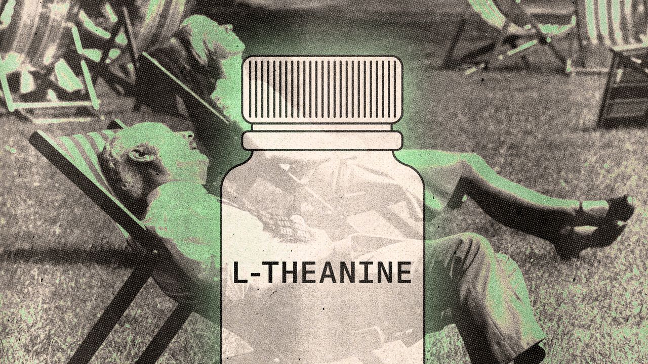 How L-Theanine Can Help You Stay Calm and Sleep Better