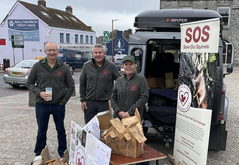 Heart of Down Red Squirrel Group was set up to reintroduce and conserve the red squirrel population around Ballynahinch and throughout Co Down PICTURE: HEART OF DOWN RED SQUIRREL GROUP