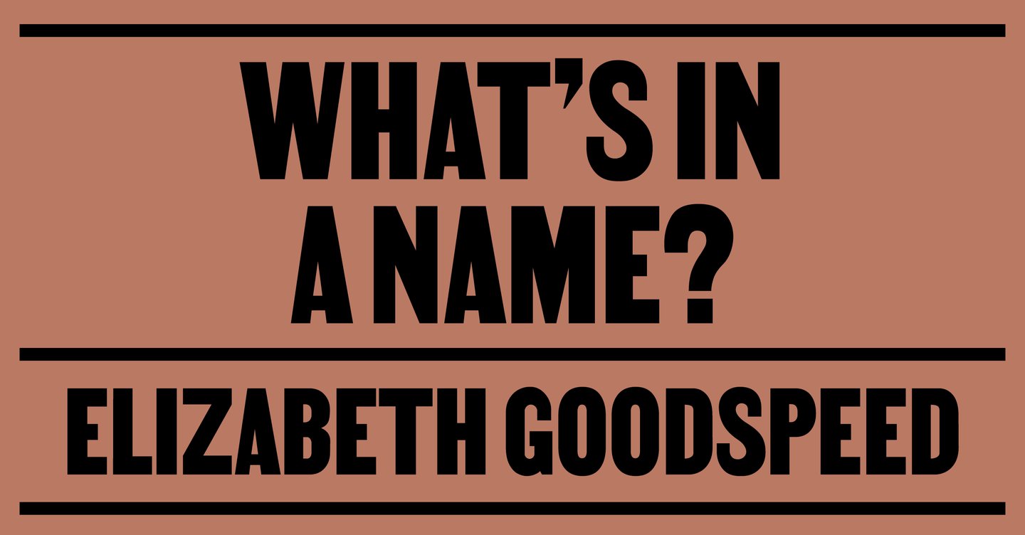 “What aesthetic is this?” Elizabeth Goodspeed on the push to categorise visual culture