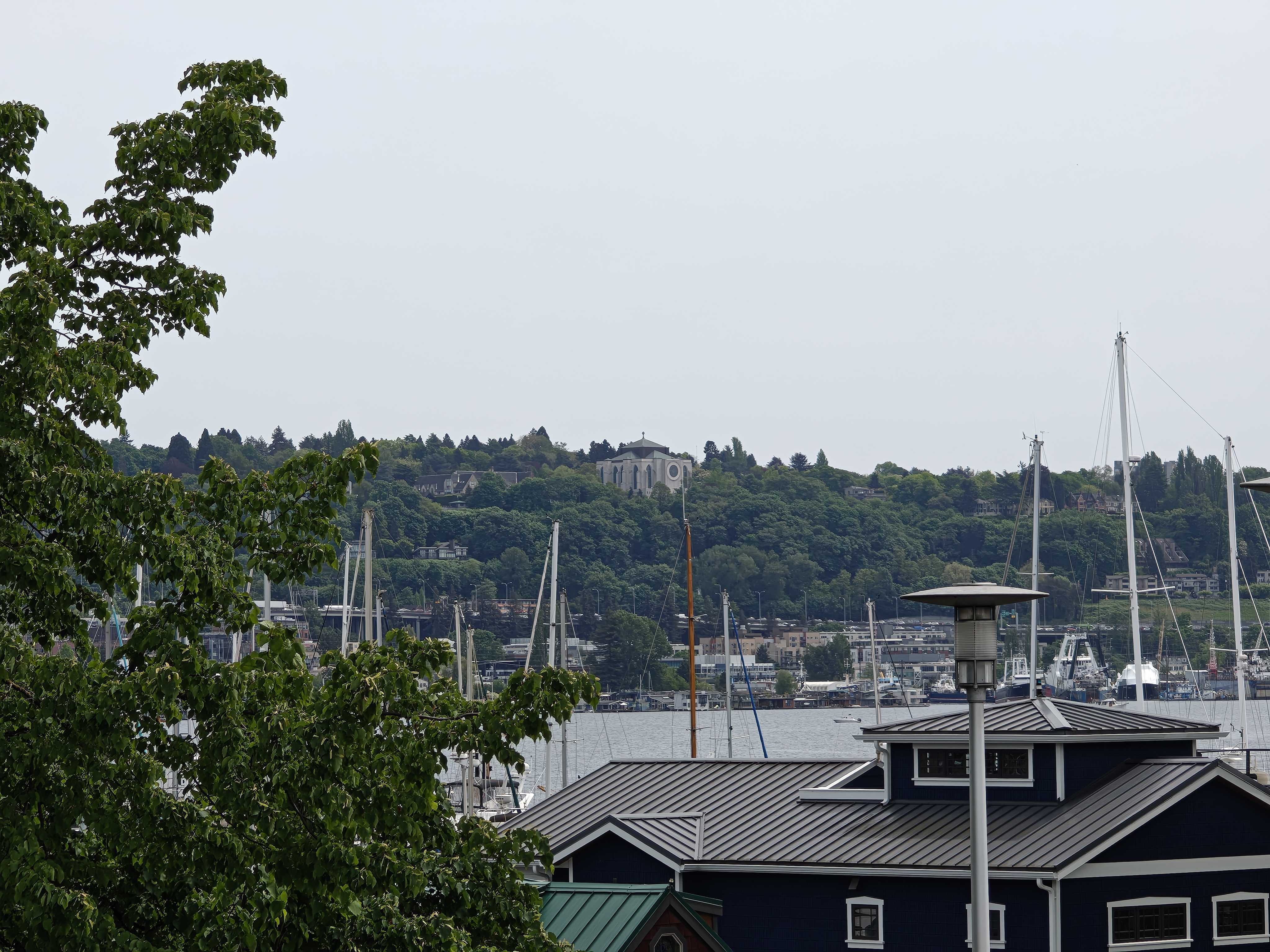 A church in the distance with trees all around