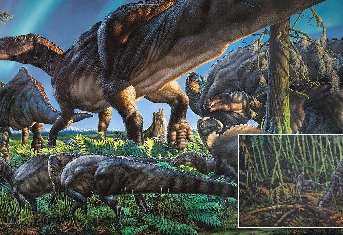 University of Lincoln researcher helps identify extinct Arctic mammals that outlived the dinosaurs