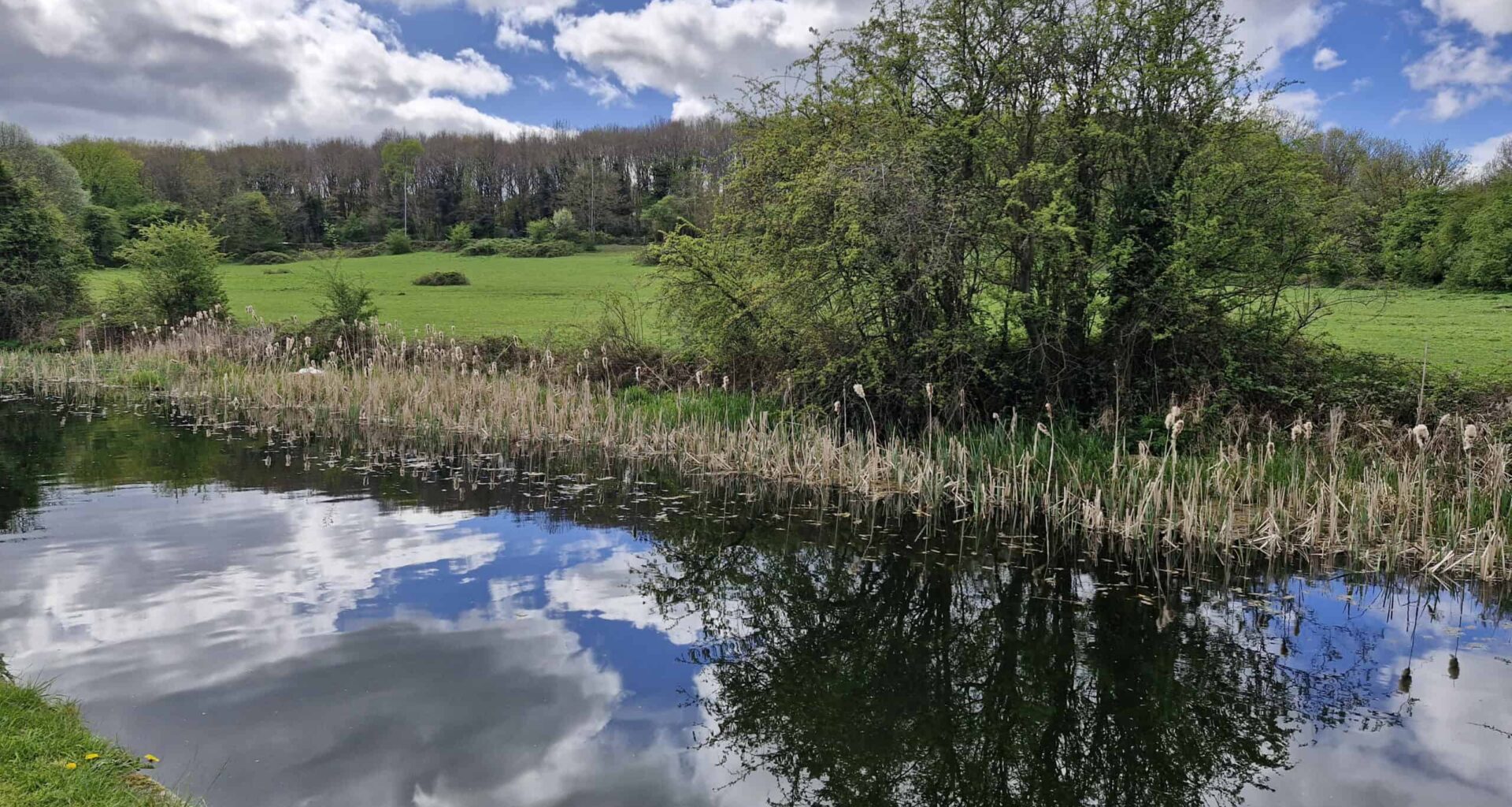 See all the photo competition entries capturing best of Bramley and Stanningley