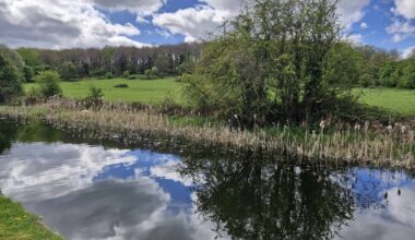 See all the photo competition entries capturing best of Bramley and Stanningley