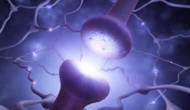 Neuron Network Synapse