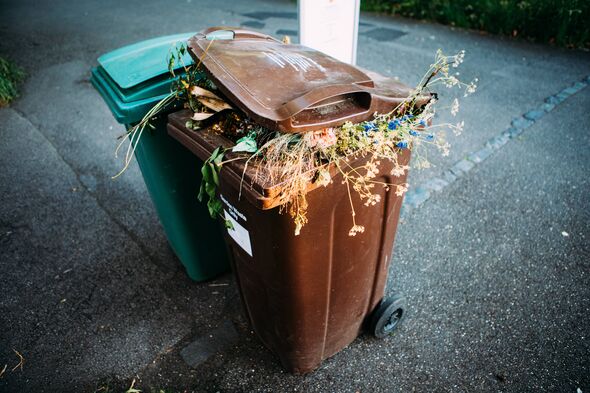 Overflowing brown bin
