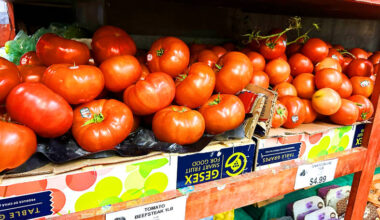 Tomatoes becoming bellwether of beleaguered US economy