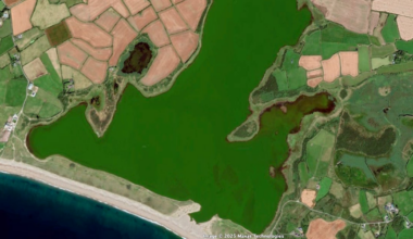 Wexford lagoon will take up to 20 years to recover from decades of pollution, says Senator – The Irish Times