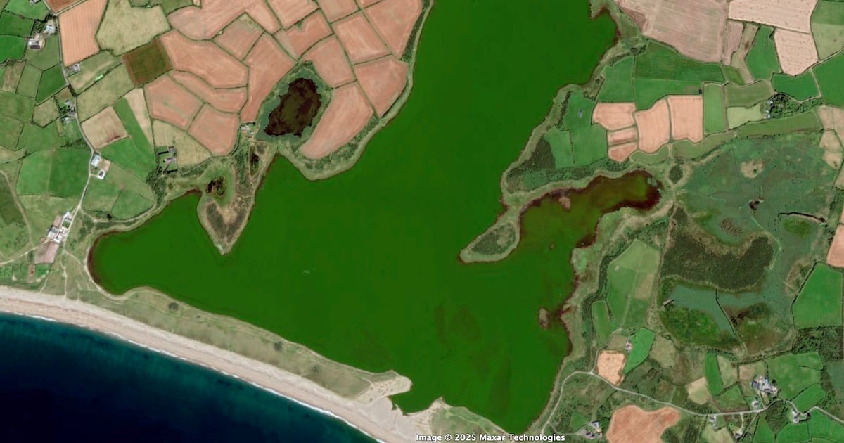 Wexford lagoon will take up to 20 years to recover from decades of pollution, says Senator – The Irish Times
