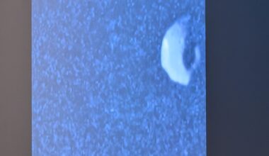 New NASA Juno image of Jupiter's tiny moon of Thebe presented at the EGU26 general assembly early this month. Credit: NASA via Bruce Dorminey