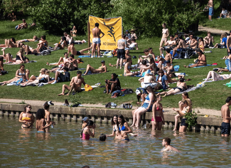 Fury as swimmers descend on Hampstead Heath wildlife ponds during heatwave - London Evening Standard