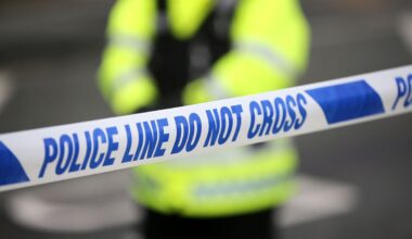 Boy dies after being hit by a falling tree in Stafford