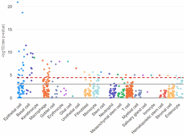 Cell protein map