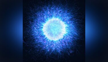 Microscopy contest-winning photo reveals “intriguing parallels” between biology and the cosmos