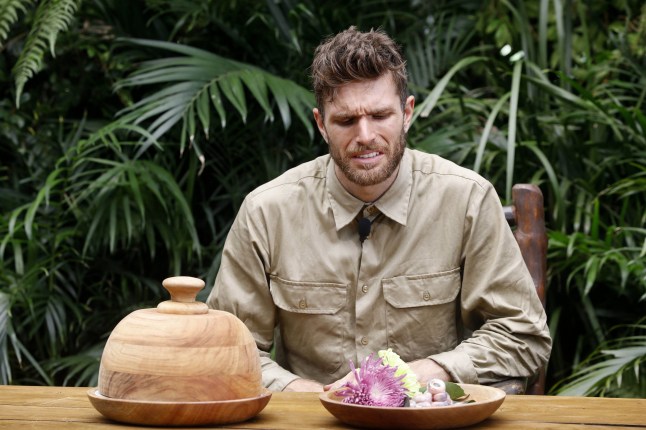 Editorial use only Mandatory Credit: Photo by ITV/REX/Shutterstock (7542672i) Bushtucker Trial Bonanza - Joel Dommett 'I'm a Celebrity...Get Me Out of Here!' TV Show, Australia - 04 Dec 2016